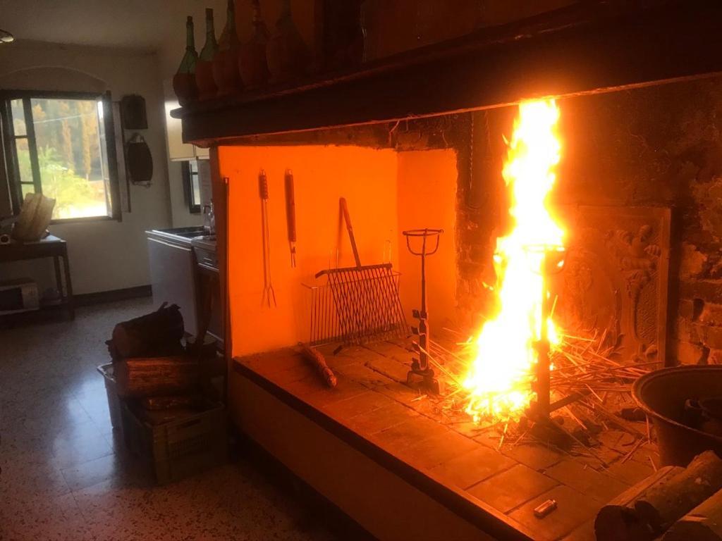 Casa Vacanze Podere Marilla Peccioli Eksteriør bilde