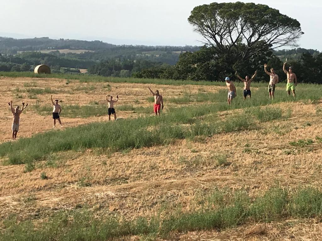 Casa Vacanze Podere Marilla Peccioli Eksteriør bilde