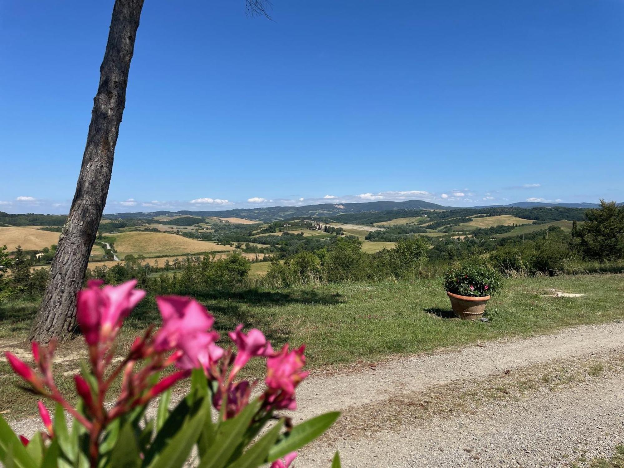 Casa Vacanze Podere Marilla Peccioli Eksteriør bilde